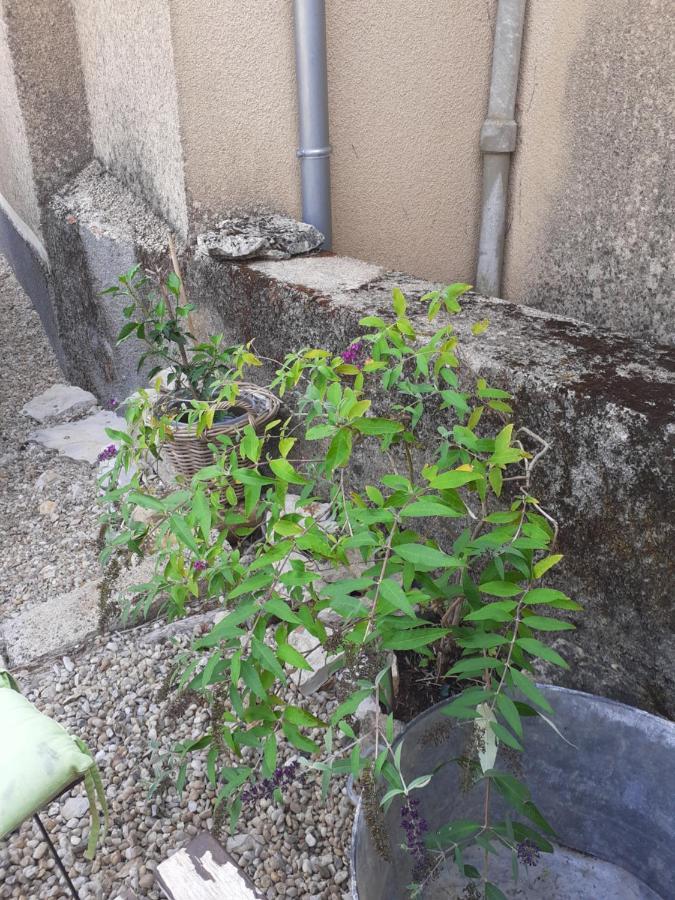 مبيت وإفطار Promilhanes La Grange المظهر الخارجي الصورة