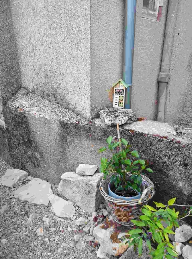 مبيت وإفطار Promilhanes La Grange المظهر الخارجي الصورة